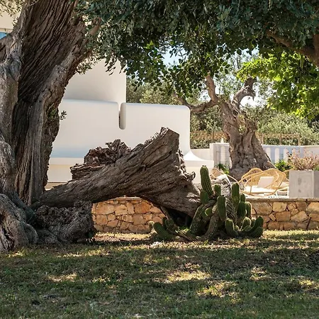 Al Mare Sea, Relax&wellness *
